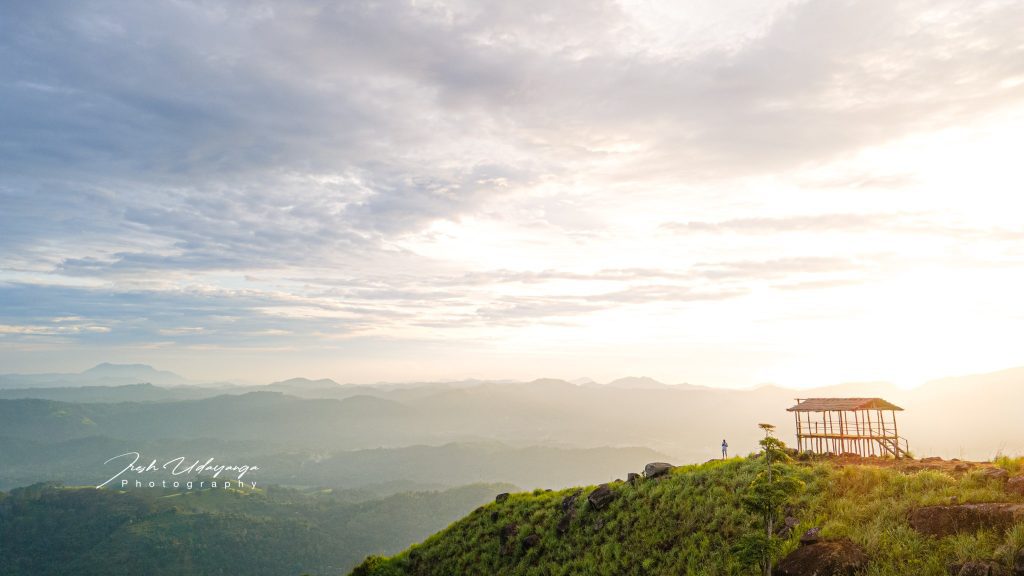 One Tree Hill View PointKatakithula Hills View PointMatale