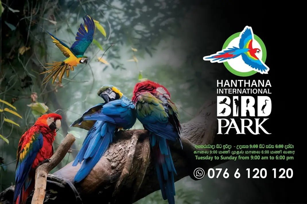 Hanthana International Bird Park