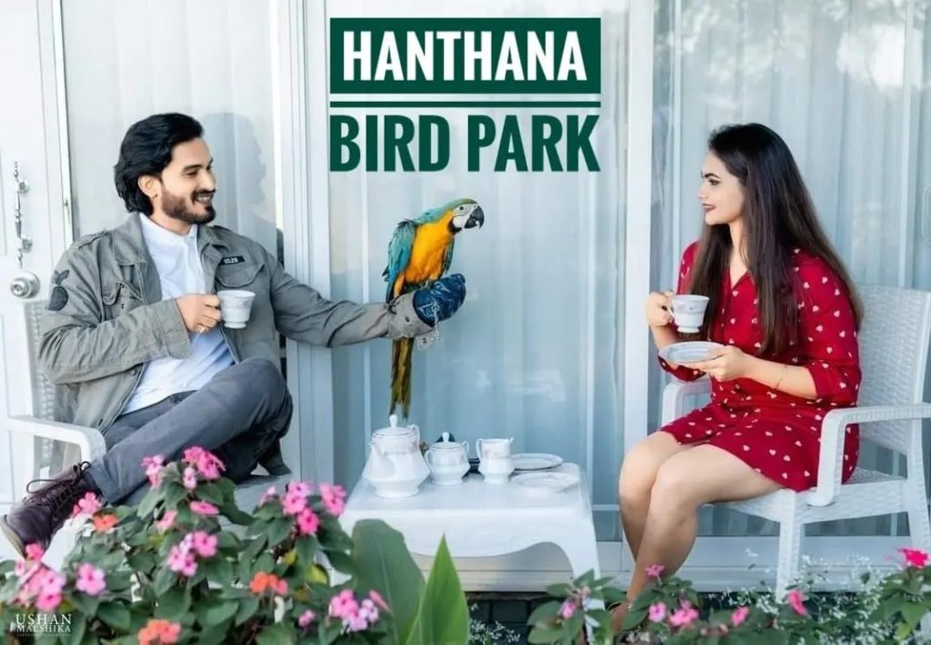 Hanthana International Bird Park